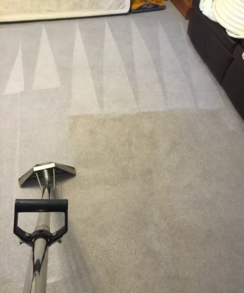 Eagle Restoration and Cleaning Picture 1