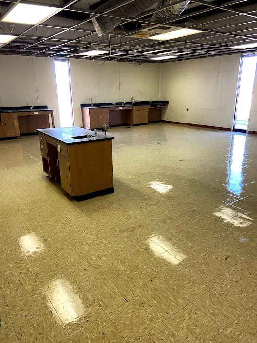 Eagle Restoration and Cleaning Picture 7