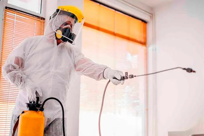 Hands & Hammers Picture 5