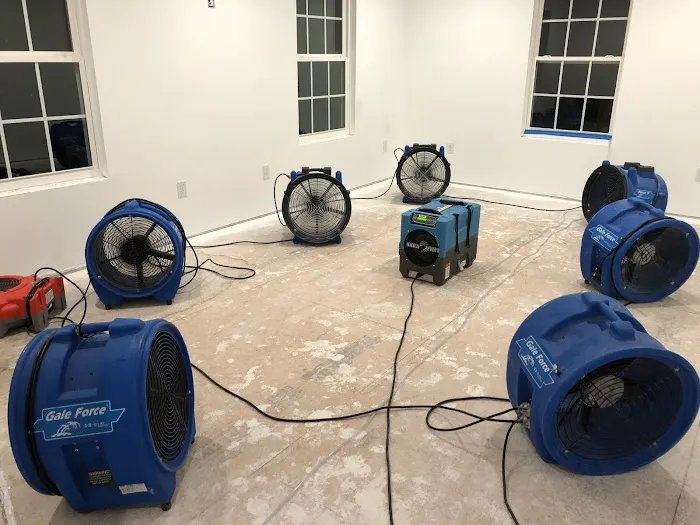 Veteran Restoration Picture 8