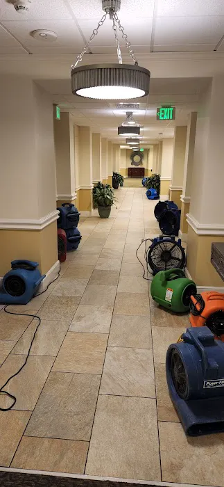 Share Restoration of Denton Picture 9