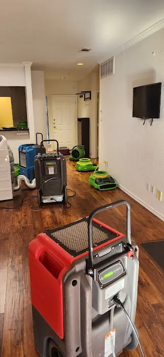 Share Restoration of Denton Picture 6