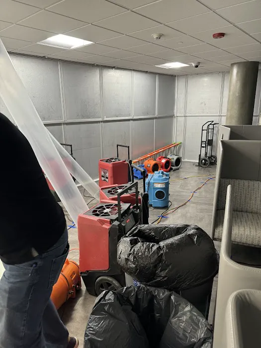 Share Restoration of Denton Picture 2