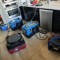 Share Restoration of Denton ico