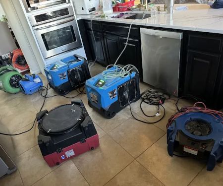 Share Restoration of Denton