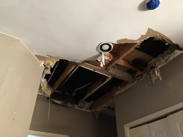 Mr. Restore Picture 2