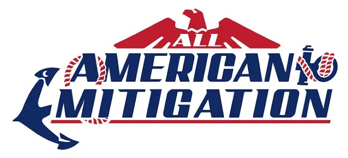 All American Mitigation of Texas Picture 2