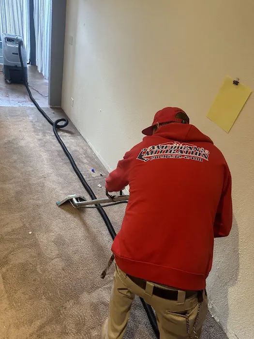 All American Mitigation of Texas Picture 5