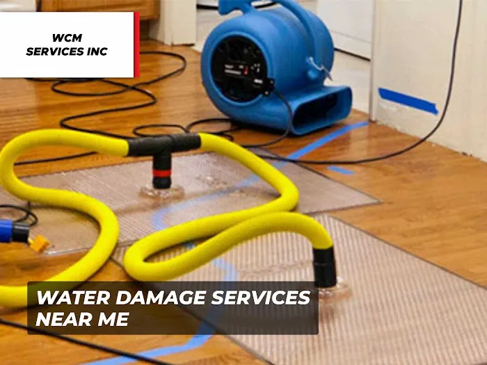 WCM Services Inc Picture 3