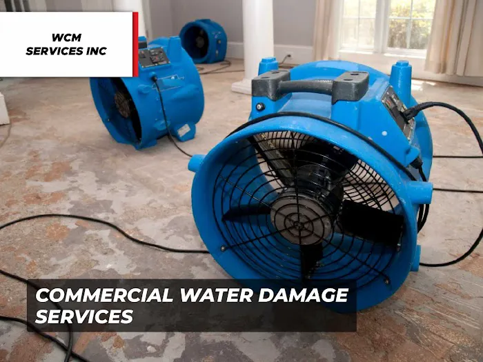 WCM Services Inc Picture 4