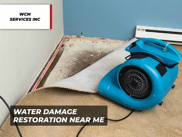 WCM Services Inc Picture 1