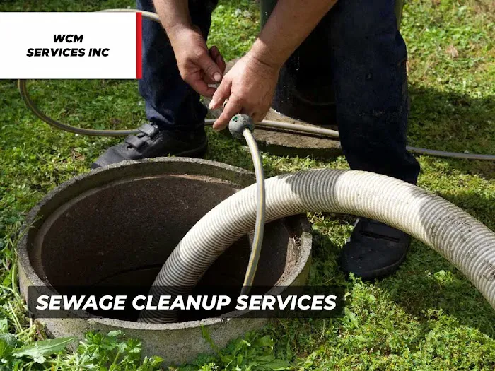 WCM Services Inc Picture 8