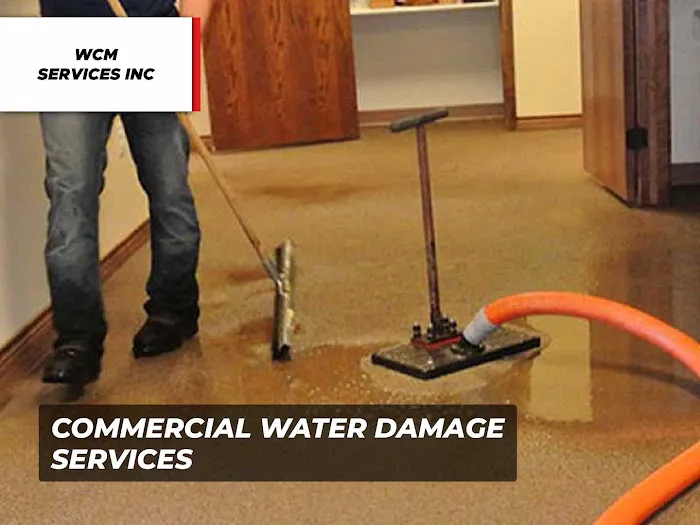 WCM Services Inc Picture 5