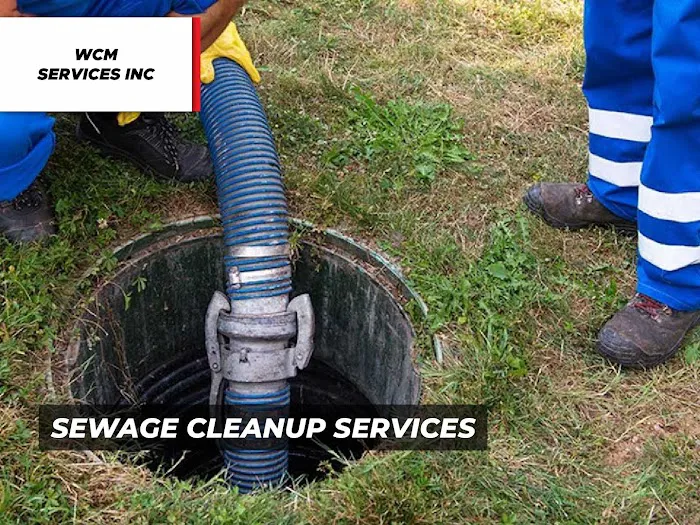 WCM Services Inc Picture 10