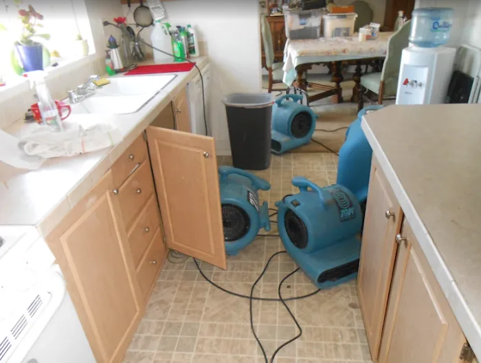 Henrydry Water Damage Restoration Picture 2