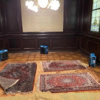 Rescue Restoration ico