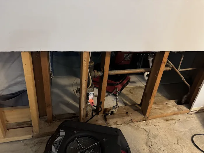 Page Restoration Picture 4