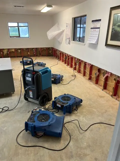 Spartan Restoration Picture 1