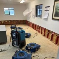 Spartan Restoration ico