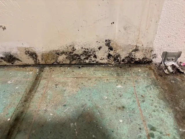 Spartan Restoration Picture 2