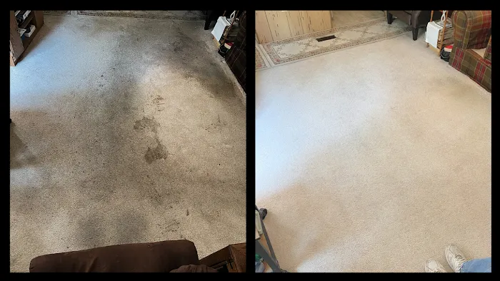 Bird's Restoration & Cleaning, Inc. Picture 10