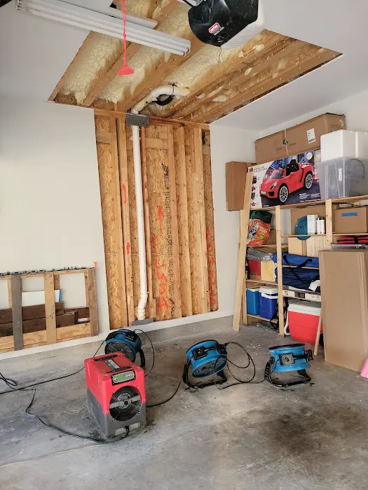 Alpha Royalty Picture 1