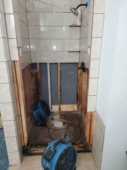 Alpha Royalty Picture 8