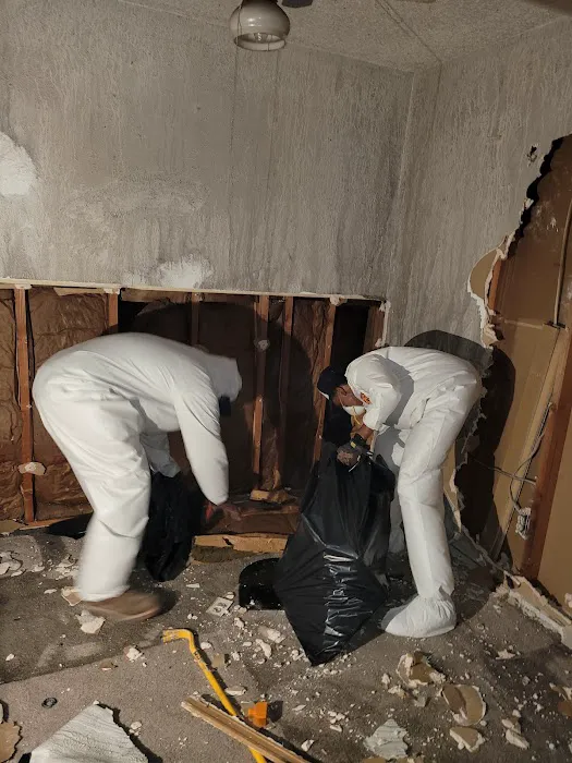 Alpha Royalty Picture 3