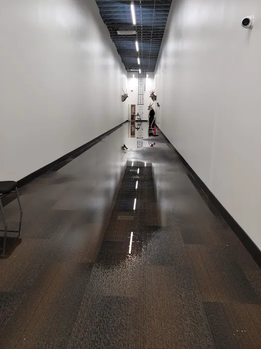 Alpha Royalty Picture 4