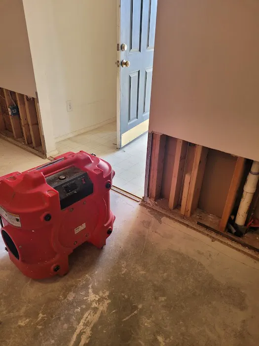 Alpha Royalty Picture 5