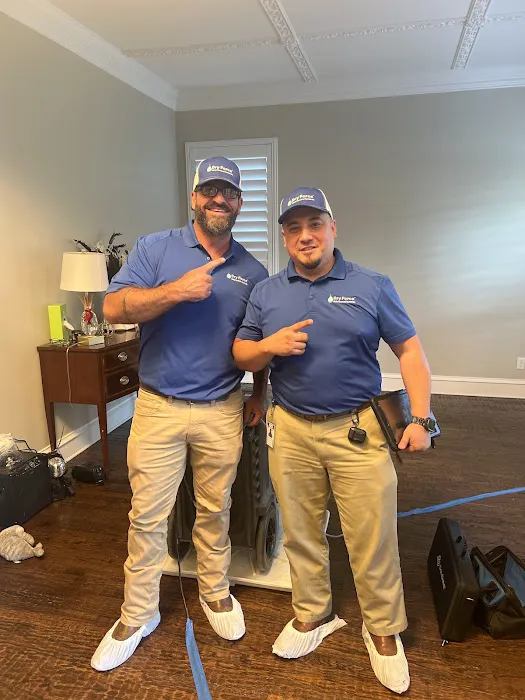 Dry Force Water Removal Specialists Picture 1