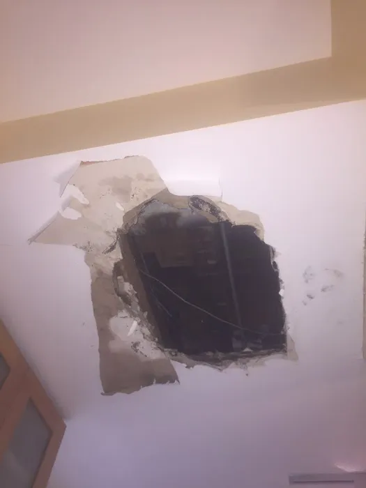 Right Away Restoration Picture 4