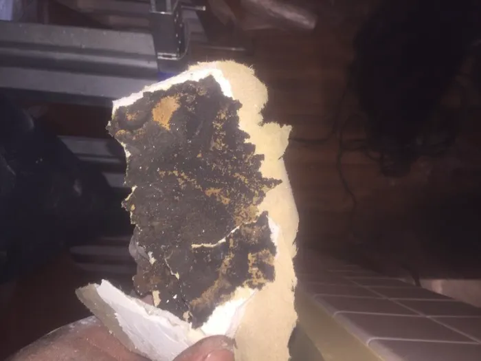 Right Away Restoration Picture 7