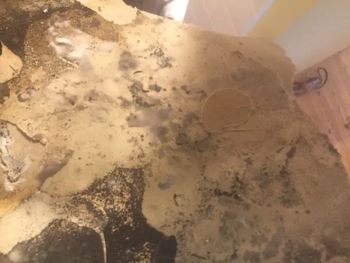 Right Away Restoration Picture 3