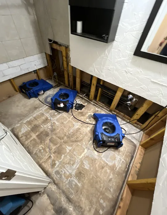 Restoration Experts Picture 7