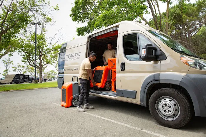 Reactic Restoration Picture 6