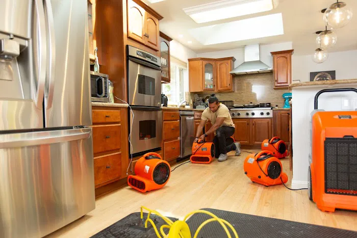 Reactic Restoration Picture 2