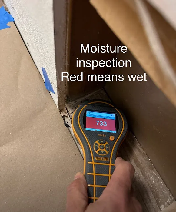 Intensa Dry Restoration Picture 5