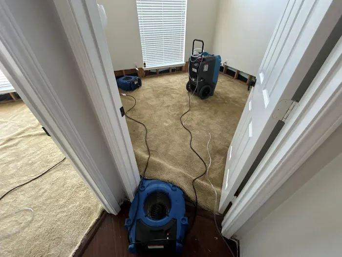 Intensa Dry Restoration Picture 9