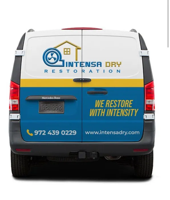 Intensa Dry Restoration Picture 8