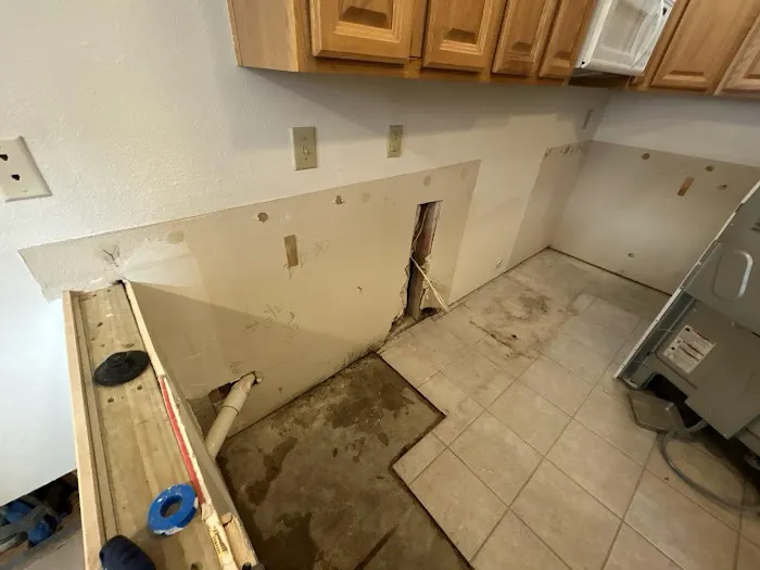 Intensa Dry Restoration Picture 10