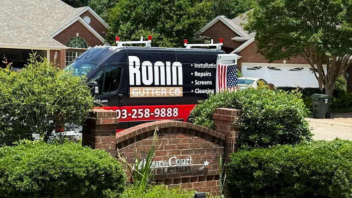 Ronin Gutter Co Picture 3
