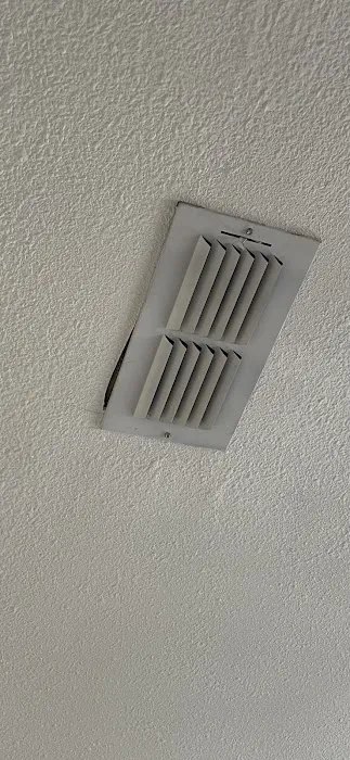 Steamatic of East Texas Inc Picture 2