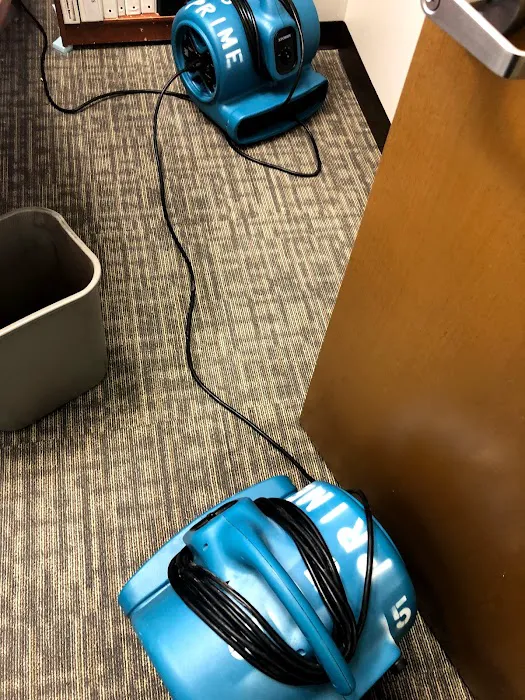 Prime Cleaning and Restoration of Tyler Picture 1