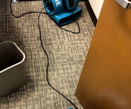 Prime Cleaning and Restoration of Tyler