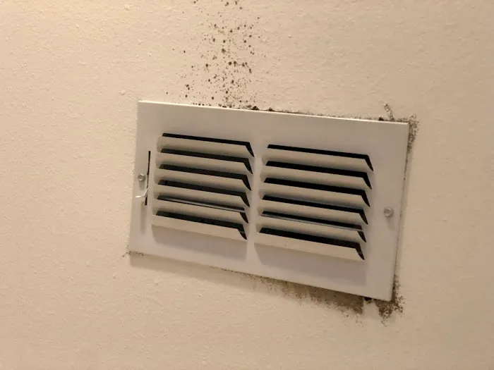 Prime Cleaning and Restoration of Tyler Picture 2