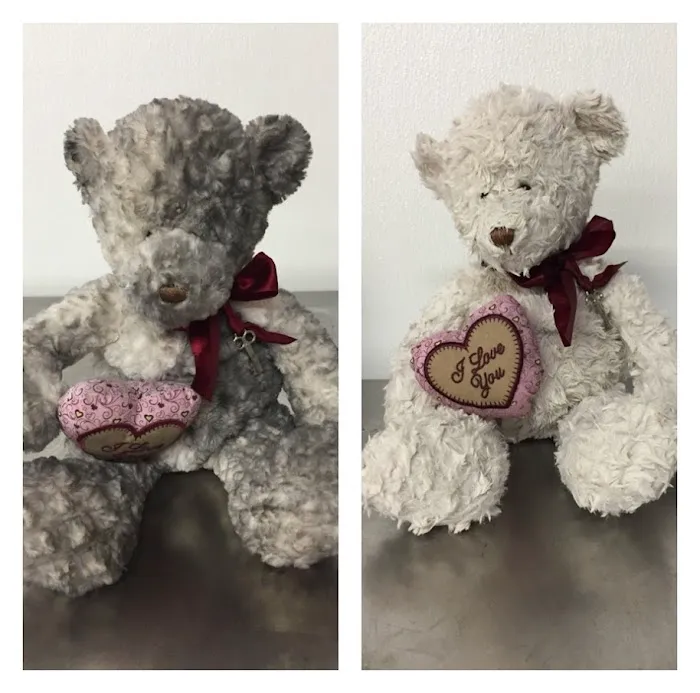 ServiceMaster of Longview Picture 6