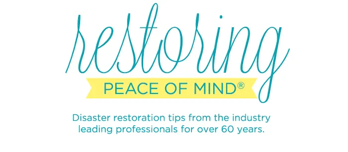 ServiceMaster of Longview Picture 4