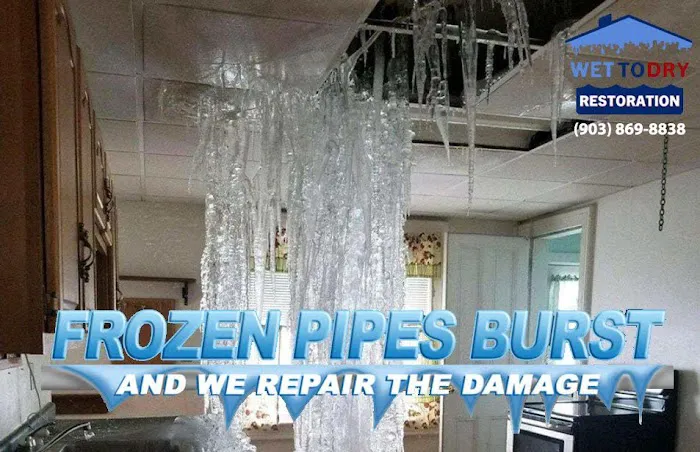 Wet To Dry Restoration Picture 1