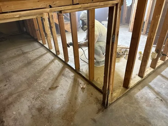 Wet To Dry Restoration Picture 10